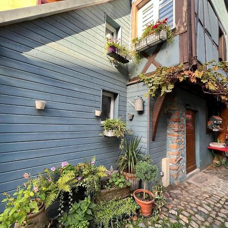 Gite Le 70 A Turckheim, 10 Min Colmar Экстерьер фото